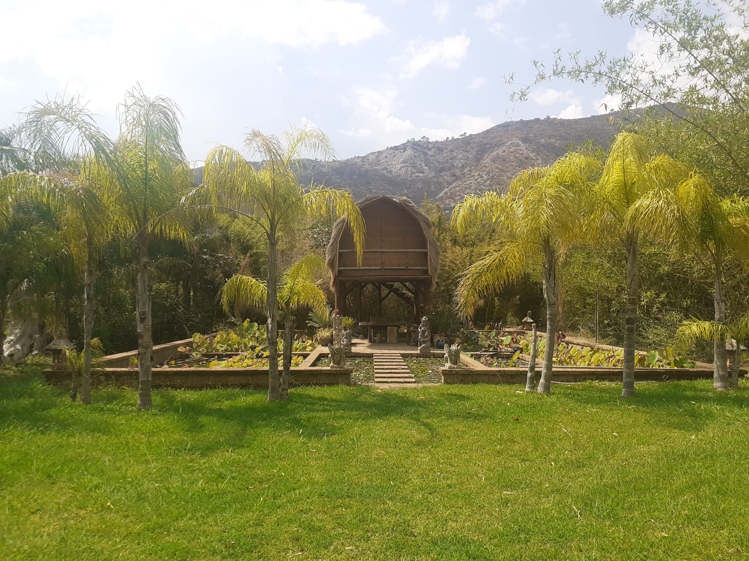 Pilates retreat in Greece Bali thematic park