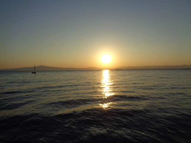 «Προπόνηση δύναμης αθλητών κωπηλασίας»